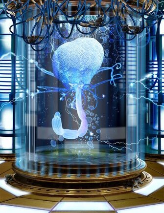 Il cervello nella vasca